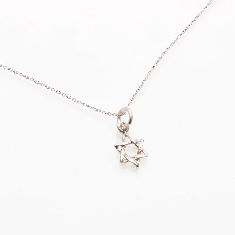 Women's chain necklaces-14k White gold Petite Star of David Necklace