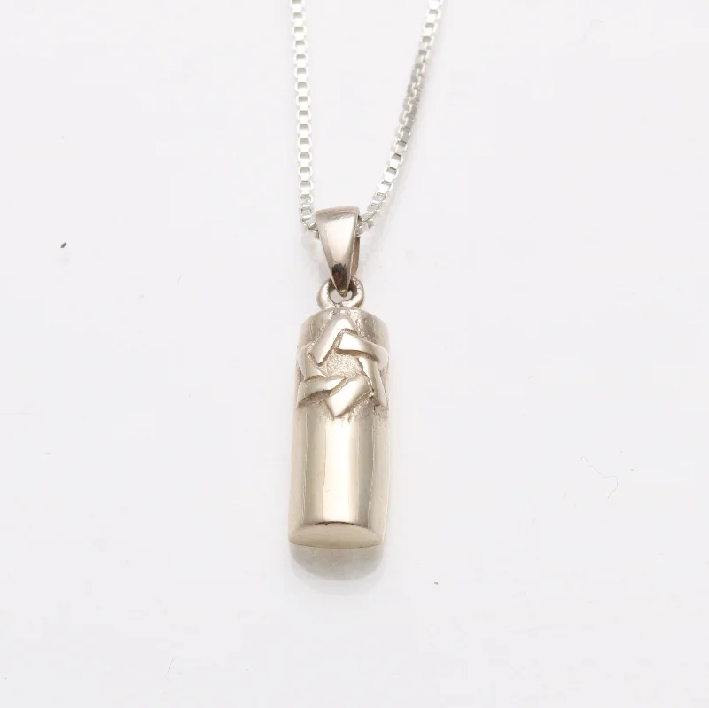 Women's friendship necklaces-Sterling Silver Solid Mezuzah Star of David Necklace