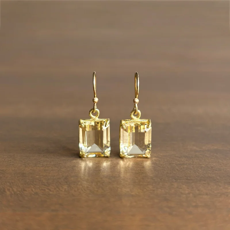 Women's fingerprint earrings-Small Emerald Cut Champagne Citrine Earrings